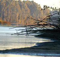 Barmah National Park - Gold Coast Attractions