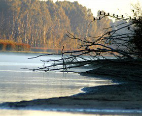 Barmah National Park - Gold Coast Attractions 0