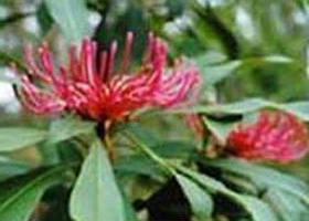 Noorinbee VIC Gold Coast Attractions