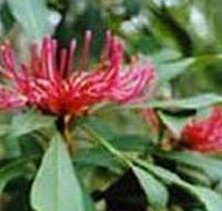 Alfred National Park - Gold Coast Attractions