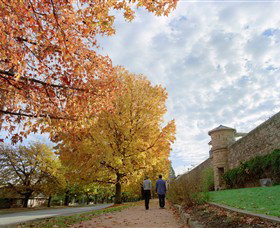 Beechworth Historic And Cultural Precinct - Gold Coast Attractions 0