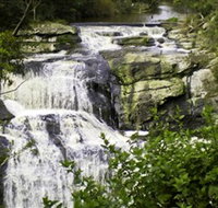 Agnes Falls Scenic Reserve - Gold Coast Attractions