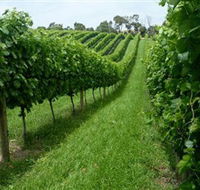 The Cups Estate - Gold Coast Attractions