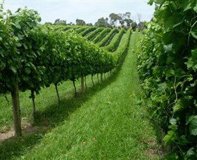 The Cups Estate - Gold Coast Attractions 0