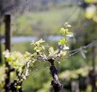 Kyneton Ridge Estate - Gold Coast Attractions