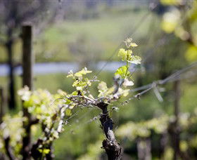 Kyneton Ridge Estate - Gold Coast Attractions 0