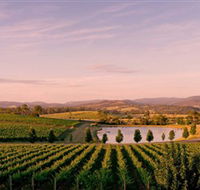 Oakridge Wines - Gold Coast Attractions