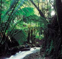 Melba Gully