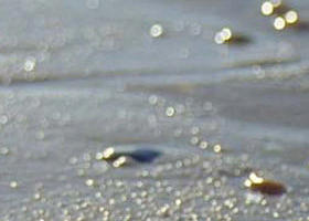 Cape Liptrap Coastal Park - Gold Coast Attractions 0