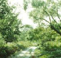 Holey Plains State Park - Gold Coast Attractions