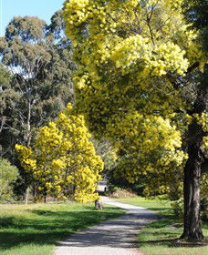 Surrey Hills VIC Gold Coast Attractions