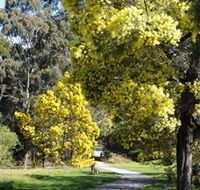 Wattle Park - Gold Coast Attractions