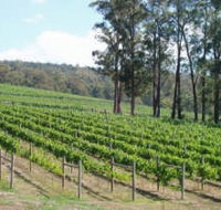 Piedmont Vineyard - Gold Coast Attractions