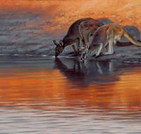 Steve Morvell Wildlife Art - Gold Coast Attractions