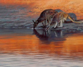 Steve Morvell Wildlife Art - Gold Coast Attractions 0