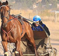 Ballarat  District Trotting Club - Gold Coast Attractions