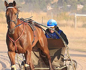 Ballarat & District Trotting Club - Gold Coast Attractions 0