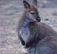 Churchill National Park