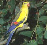 Lake Hindmarsh Reserve - Gold Coast Attractions
