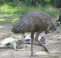 Bundoora Park - Gold Coast Attractions