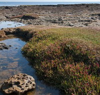 Ricketts Point Marine Sanctuary - Gold Coast Attractions
