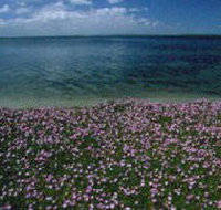 The Lakes National Park - Gold Coast Attractions