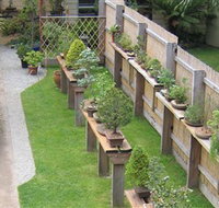 Bonsai Island - Gold Coast Attractions