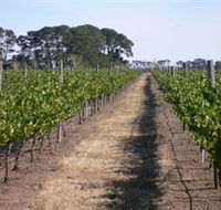 Mount Beckworth Wines - Gold Coast Attractions