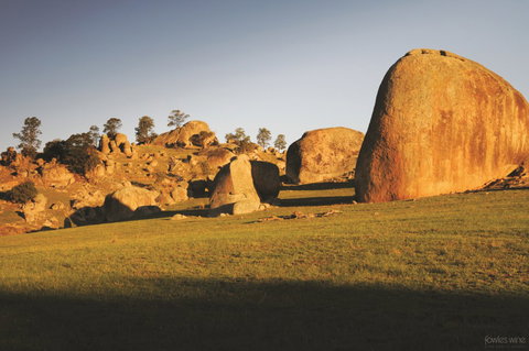 Fowles Wine - Gold Coast Attractions 3