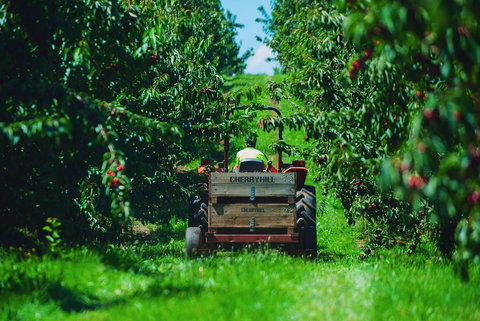 Cherryhill Orchards - Gold Coast Attractions 7