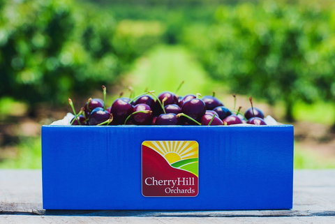 Cherryhill Orchards - Gold Coast Attractions 8