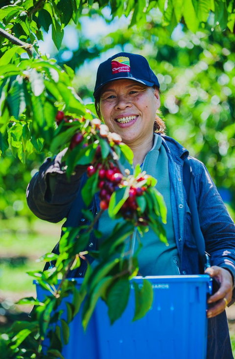 Cherryhill Orchards - Gold Coast Attractions 11