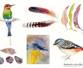  Gold Coast Attractions