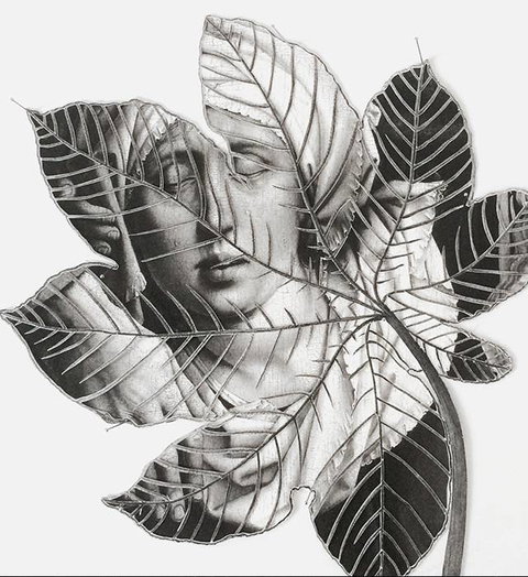 Wollongong Art Gallery - Gold Coast Attractions 2