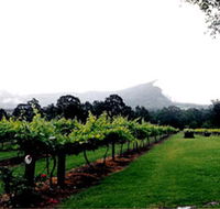 Cambewarra Estate Wines - Gold Coast Attractions