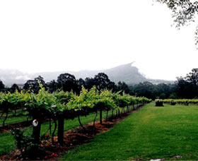 Cambewarra Estate Wines - Gold Coast Attractions 0
