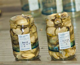 Broadwater Oysters - Gold Coast Attractions 0