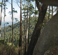 Gulaga National Park - Gold Coast Attractions