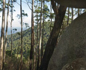 Gulaga National Park - Gold Coast Attractions 0