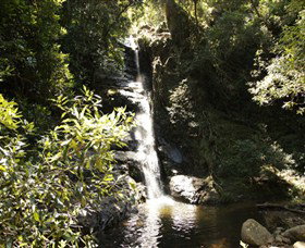 Macquarie Pass National Park - Gold Coast Attractions 0