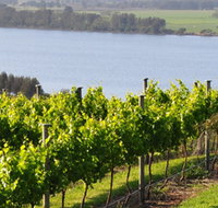 Two Figs Winery - Gold Coast Attractions