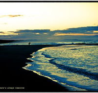 Shoalhaven Life - Gold Coast Attractions