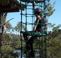 Trees Adventure Shoalhaven - Gold Coast Attractions