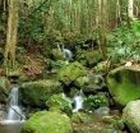 Budderoo National Park - Gold Coast Attractions