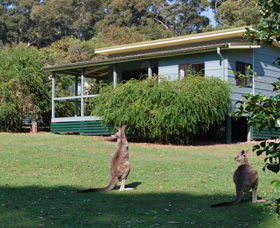 Murramarang National Park - Gold Coast Attractions 0