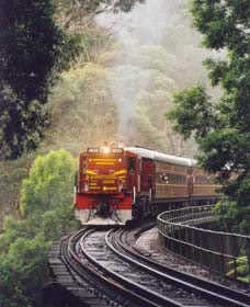 Cockatoo Run - Scenic Tour Train Operated By 3801 Limited - Gold Coast Attractions 0