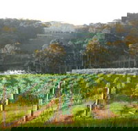 Tilba Valley Wines - Gold Coast Attractions