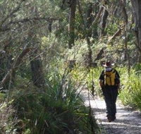 Barren Grounds Nature Reserve - Gold Coast Attractions