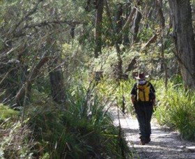 Barren Grounds Nature Reserve - Gold Coast Attractions 0