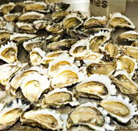 Wheelers Oysters - Gold Coast Attractions